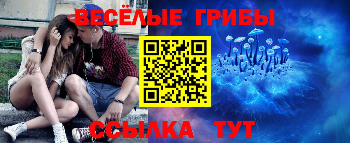 Галлюциногенные грибы GOLDEN TEACHER  Псилоцибиновые грибы GOLDEN TEACHER  Вход с VPN  Тимашёвск 