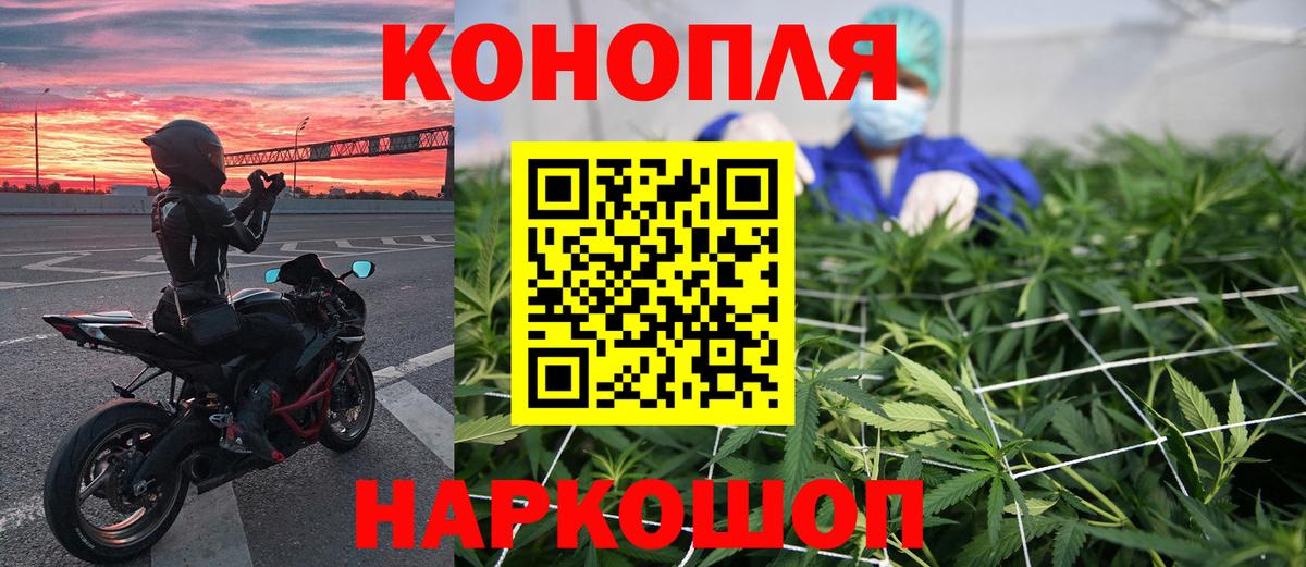 Каннабис семена  Марихуана Bruce Banner  Тимашёвск  Вход с VPN 